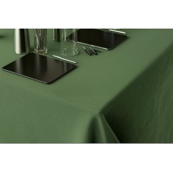 Presidential Tablecloth - Baize