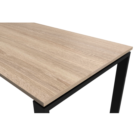 Conference table CONNECT 200x100 cm